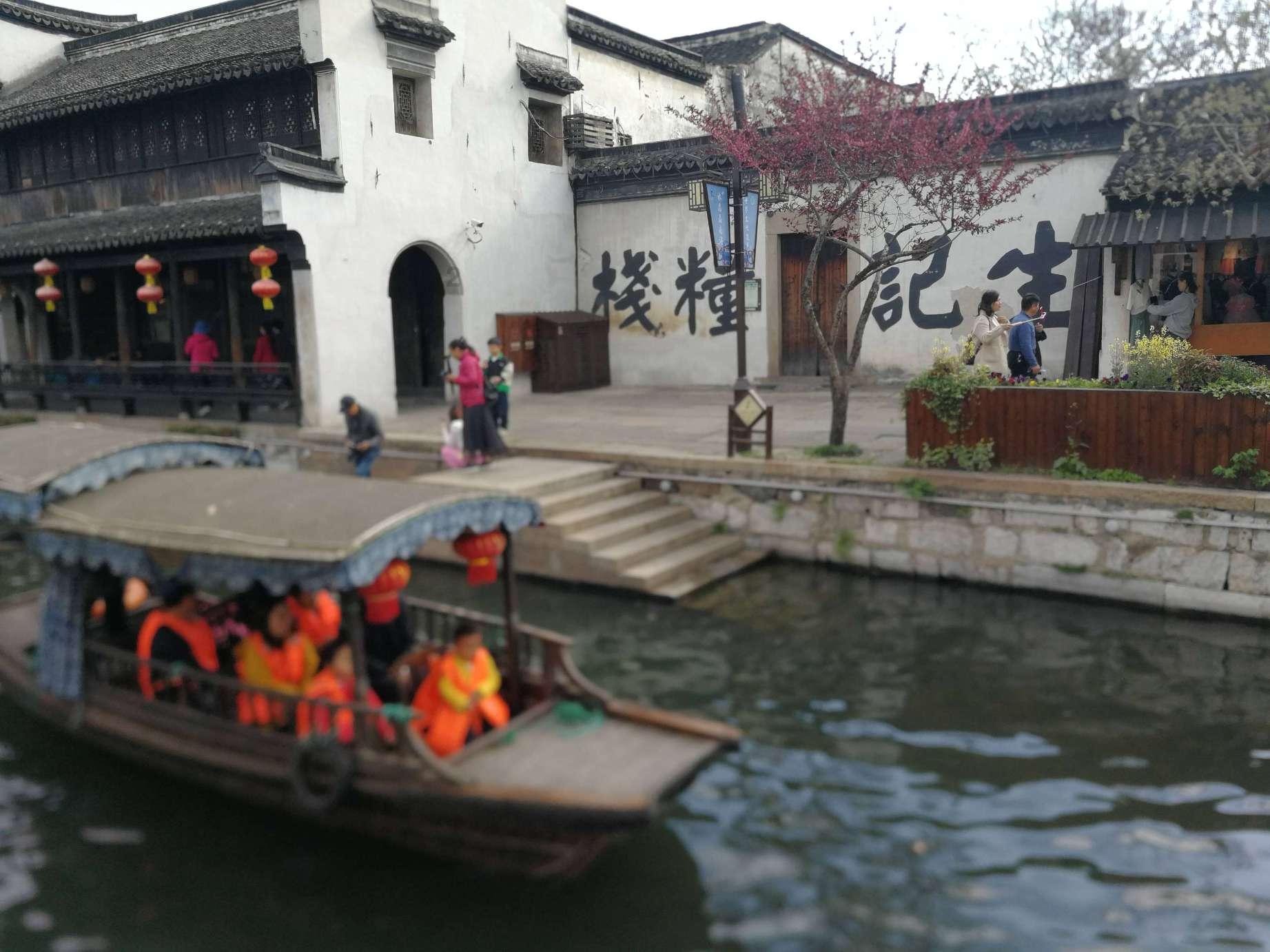 向日葵什么时侯种？游戏画面